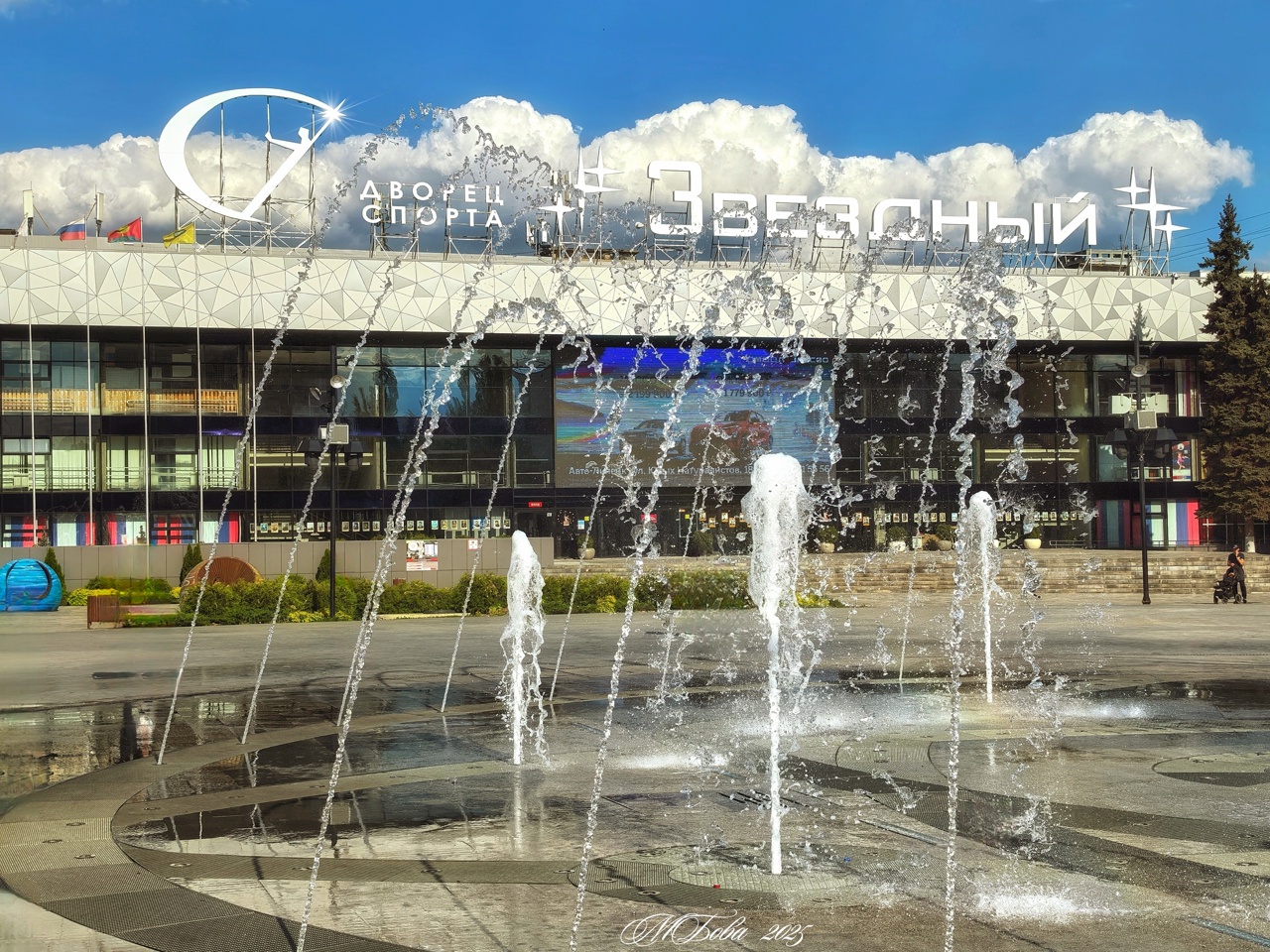 ДС Звездный